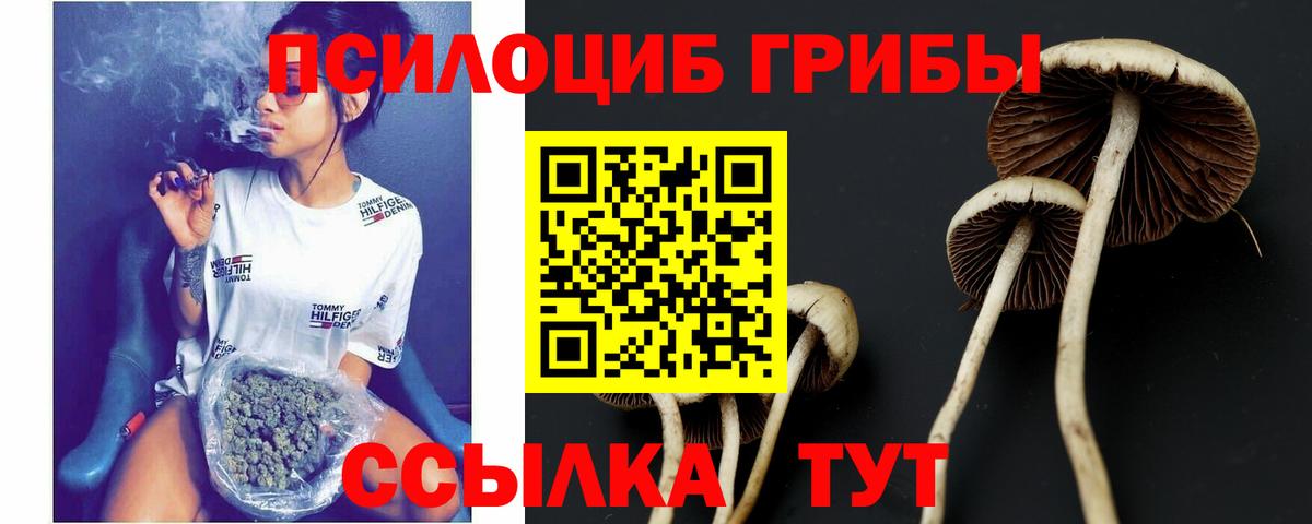 Изобильный  Галлюциногенные грибы Psilocybine cubensis  закладка  Вход с VPN 